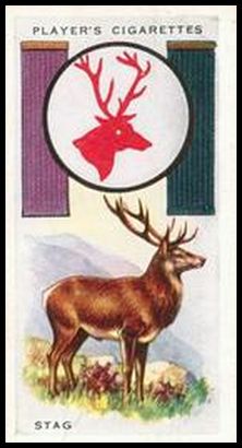 20 Red Deer